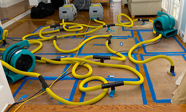 Professional Sewage Cleanup technician working in Coleman, MI