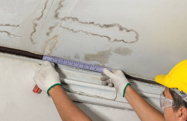 Affordable Water Damage Repair solutions in Coleman, MI